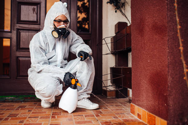 Reliable Ant Control contractor in Bergenfield, NJ by Nex Pest Control